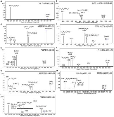 Metabolic Remodeling of Membrane Glycerolipids in the Microalga Nannochloropsis oceanica under Nitrogen Deprivation